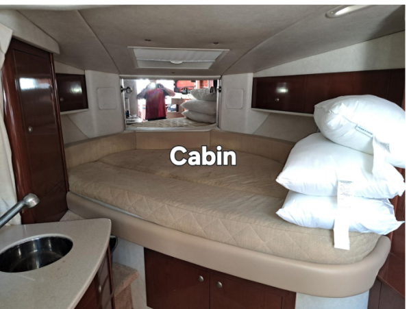 2008 Sea Ray 310 Sundancer - Image 4